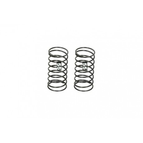 D418 Front Spring 55 HB204382