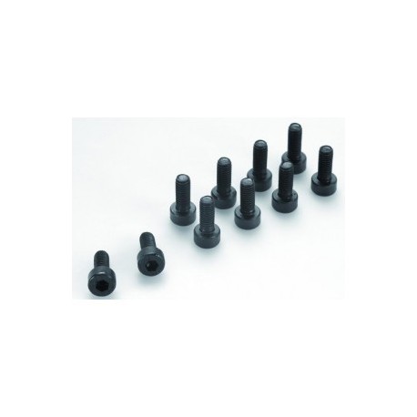 3x8 VIS CYL 6 PAN (10)